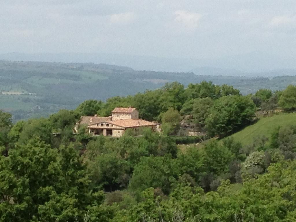 Luxury Villa Colle Dell'Asinello ,Proprietari ,Villa In Esclusiva Near Orvieto Guardea 客房 照片