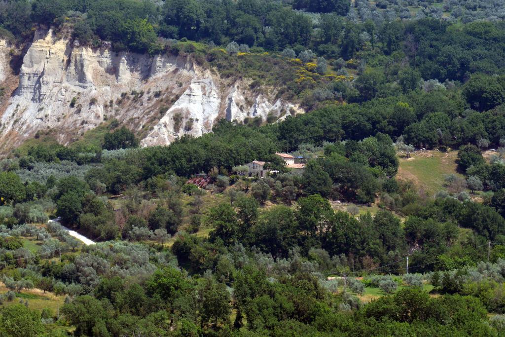 Luxury Villa Colle Dell'Asinello ,Proprietari ,Villa In Esclusiva Near Orvieto Guardea 外观 照片